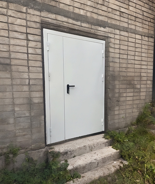 Уличная полуторная дверь
