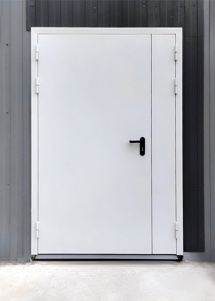 Глухая полуторная дверь