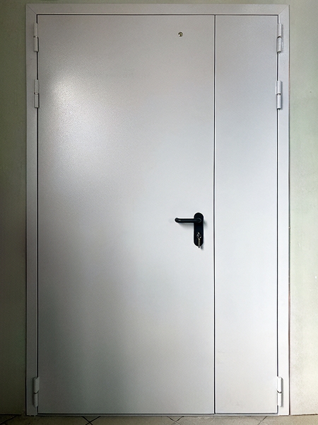 Полуторная огнестойкая дверь