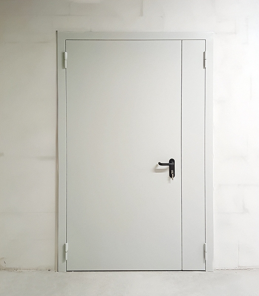 Глухая полуторная дверь